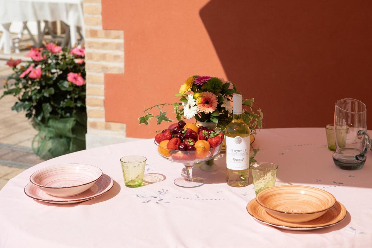 Fonte D'Olio Conero Relais Bed and Breakfast Sirolo Εξωτερικό φωτογραφία